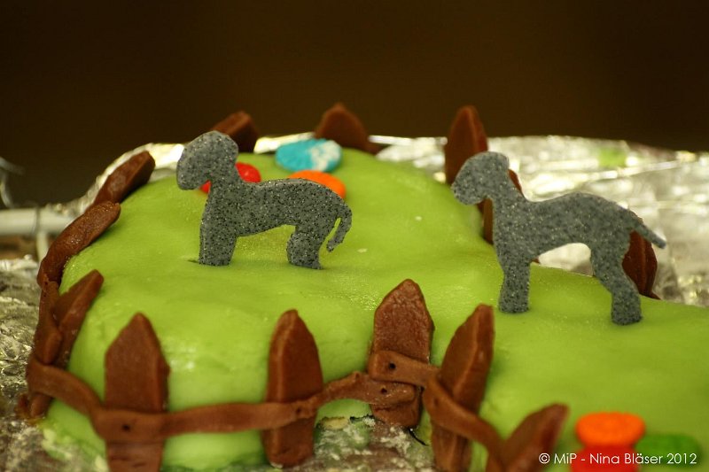 2012-07-01 B & B - Bedlington & Bichon Fun Day (212)_1500x1000.jpg